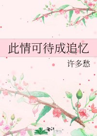 此情可待成追忆